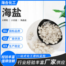 大颗粒粗盐小白盐海晶盐工业级 热敷融雪水产养殖水处理用工业盐