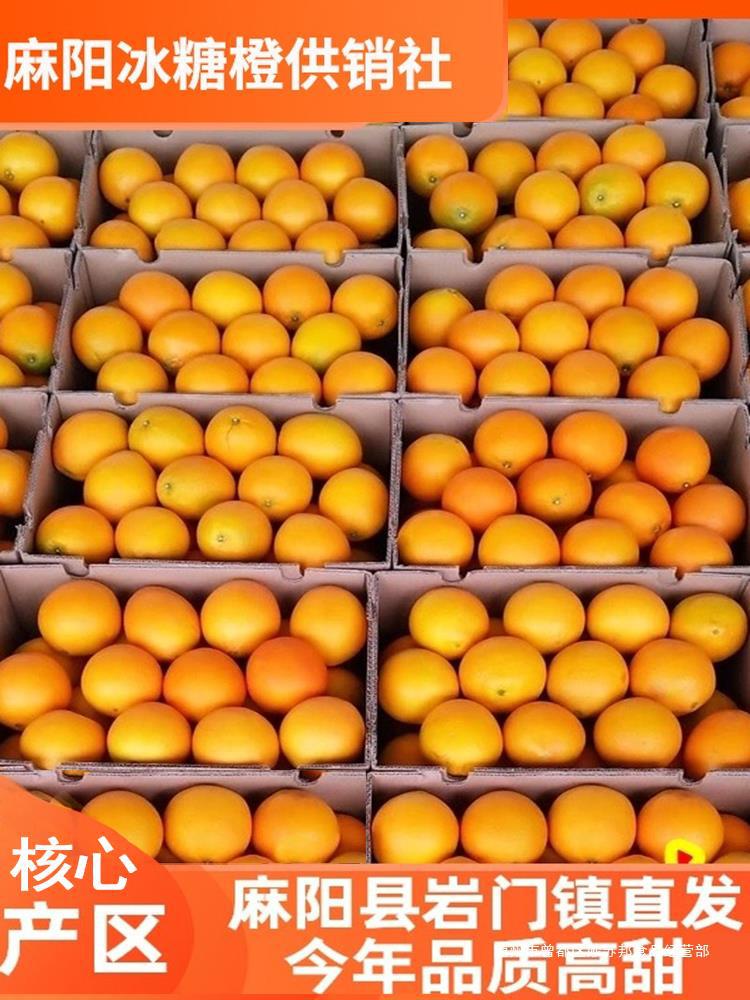 正宗麻阳冰糖橙10斤橙子湖南冰糖柑小甜橙当季手剥橙新鲜水果整箱