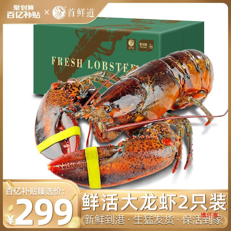 【百亿补贴臻选】波士顿龙虾鲜活大龙虾波龙奥龙澳洲