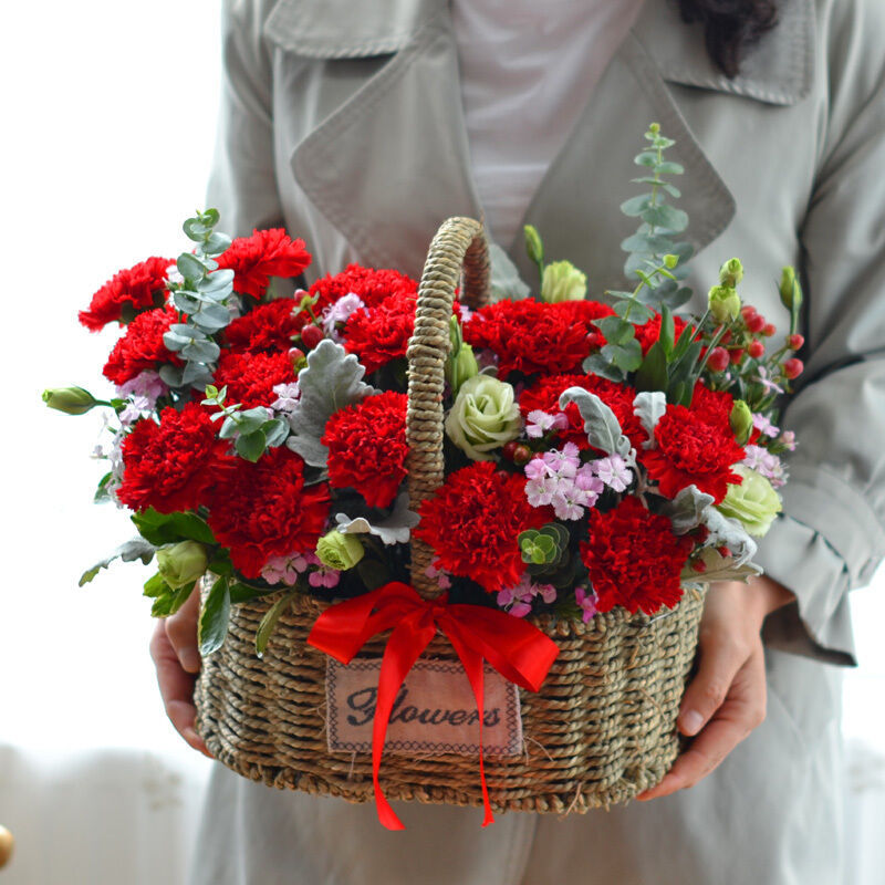 红色康乃馨小手提花篮鲜花速递同城苏州南京杭州常州南通无锡昆山