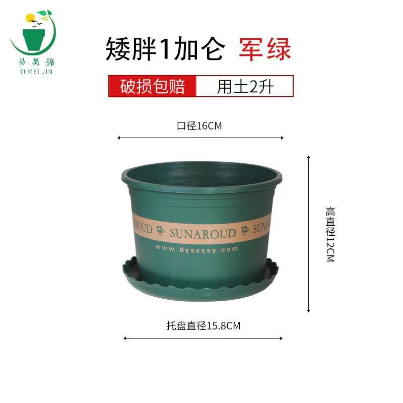 Changsheng Factory Straight Hair Plastic Flower Pot Wholesale Balcony Green Radish Pot Strawberry Rose Extra Large Thickened Gallon Basin