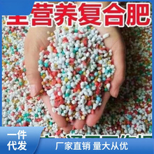 缓释肥家用型种花肥料花卉农用颗粒蔬菜树化直销氮磷钾营养复合肥