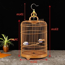 珍珠鸟灰色白色驼色活体网红宠物观赏鸟好养耐活幼鸟学说话包会