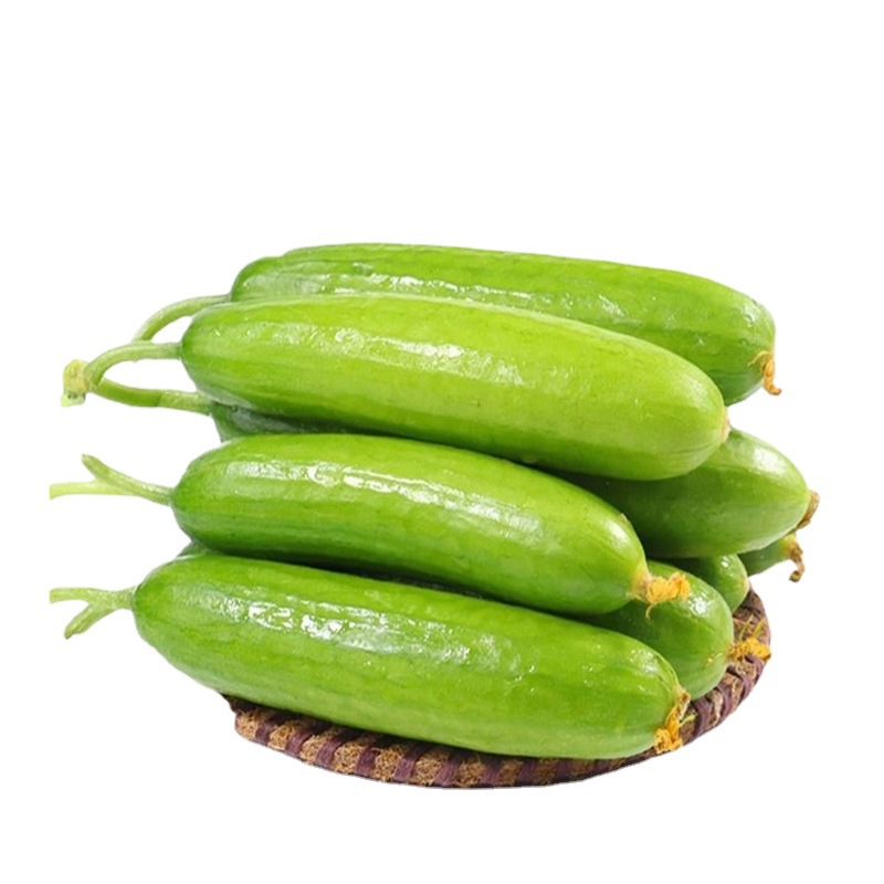 5斤顺丰起发 水果黄瓜新鲜山东小黄瓜荷兰小青瓜时令蔬菜生吃整箱