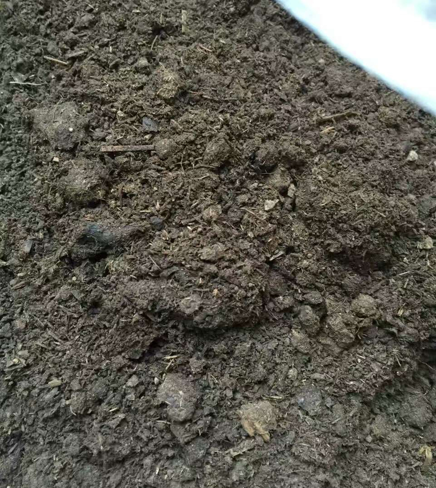 批发 发酵羊粪 羊粪屎 羊粪有机肥料 发酵鸡粪 生物有机肥