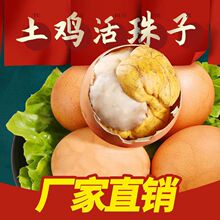 毛鸡蛋13天五香活珠子开袋即食新鲜喜蛋钢化蛋活珠蛋无毛胚批发