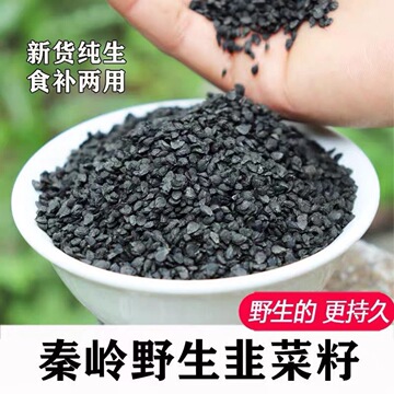 正品韭菜子韭菜子籽中药材500克可男性泡酒可泡韭菜子茶包邮