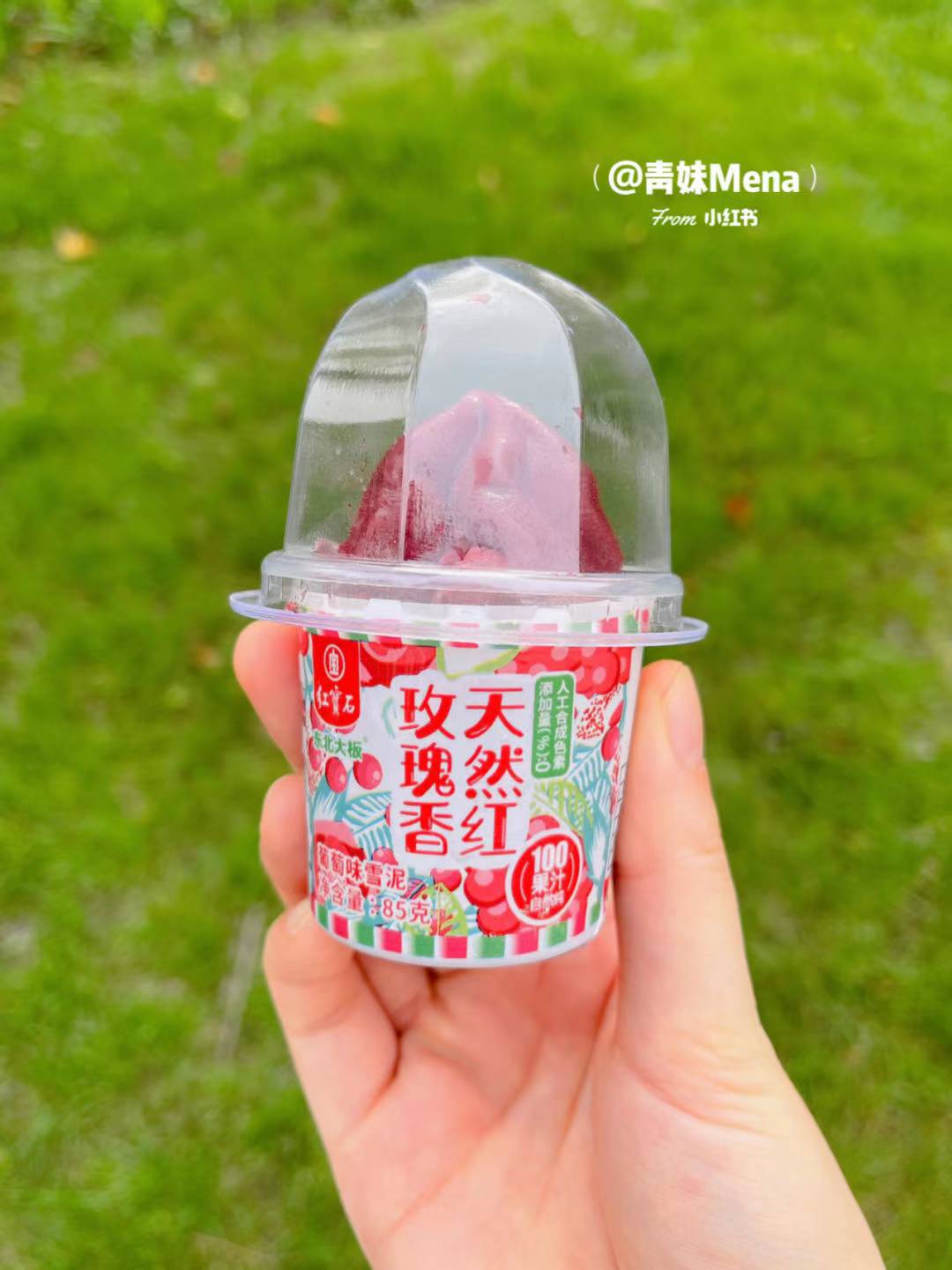 东北大板红宝石葡萄雪泥55g 抖音爆款雪糕冰淇淋