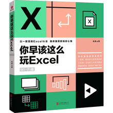 你早该这么玩Excel Wi-Fi版 操作系统 京华出版社