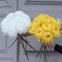 菊花祭鲜花花束清明节日用品黄白菊花材料包10云南昆明祭奠直发真