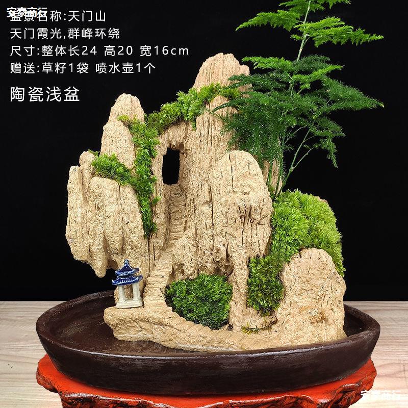 观沧海假山盆景吸水奇石头上水石摆件鱼缸流水造景室内微景观客厅