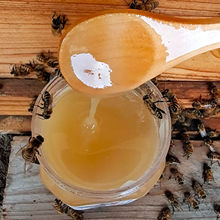 深山野生液体土蜂蜜   农家自产土蜂蜜结晶蜜深山木桶蜂巢蜜百花
