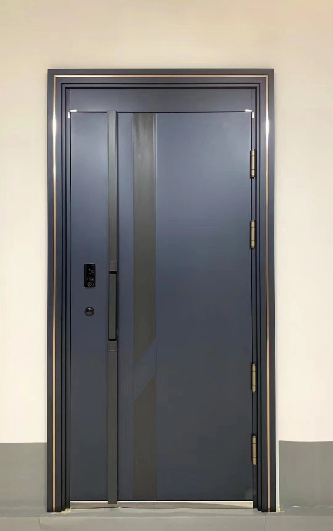 浙江防盗进户门图片