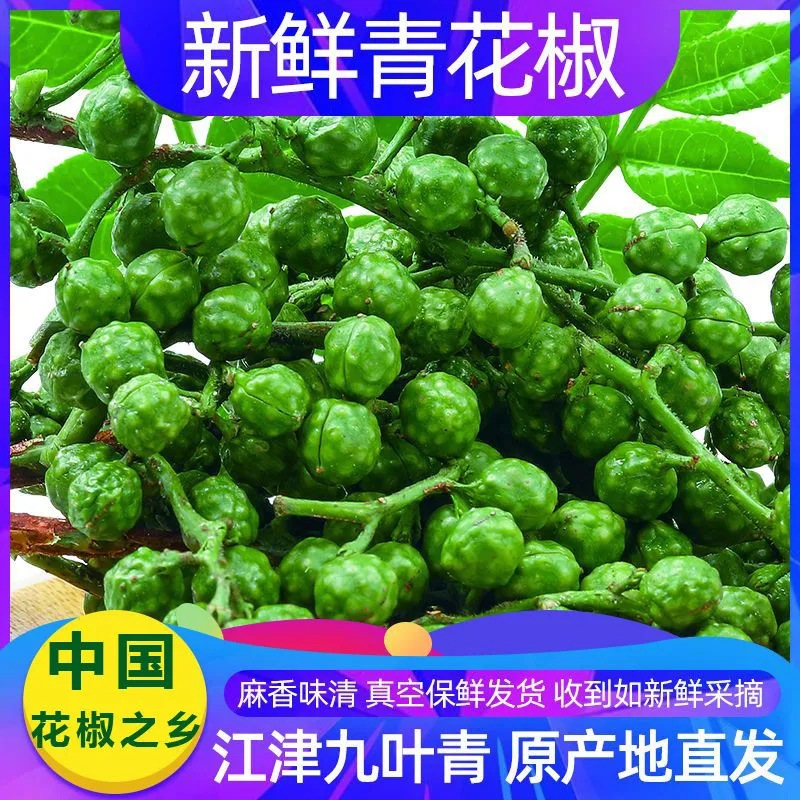 保鲜花椒鲜花椒350g青花椒九叶青花椒鲜花椒绿花椒真空整箱批发