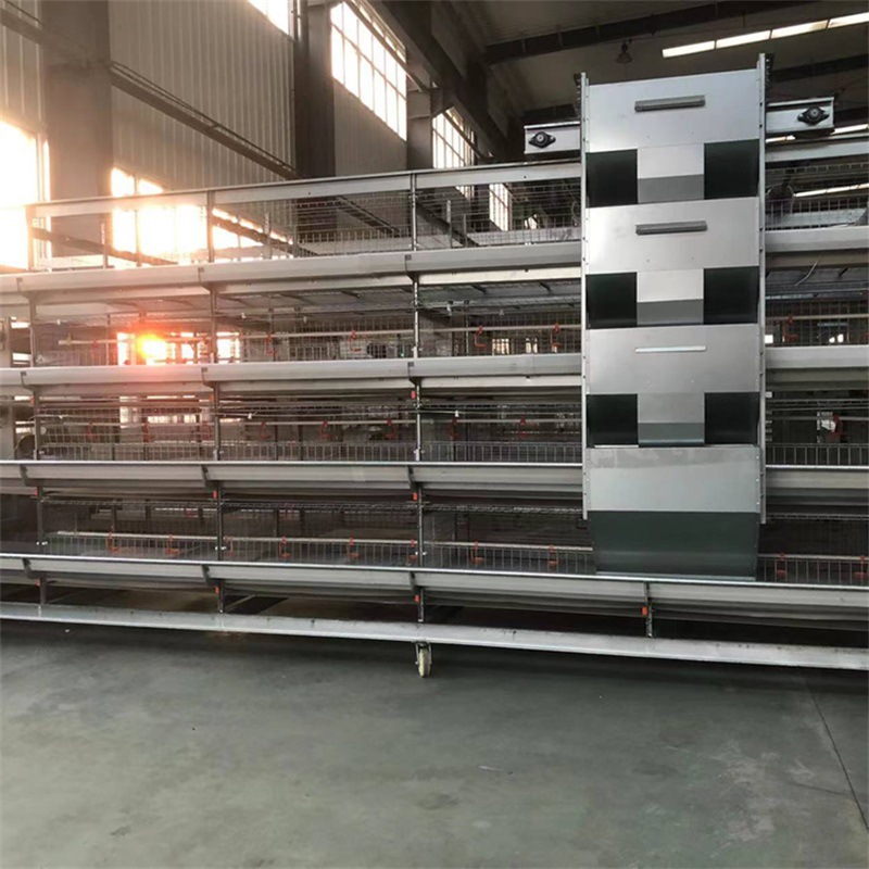 蛋鸡笼养殖设备鸡笼框架立式层叠热镀锌肉鸡笼全自动捡蛋机