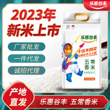 【2024新米】乐惠谷丰东北特产五常稻花香2号大米5kg真空包装直批