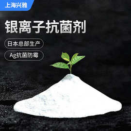 银离子抗菌剂粉