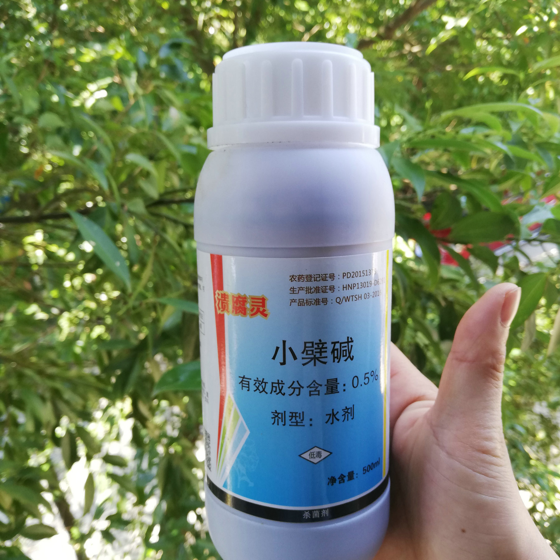 果树农药杀菌剂0.5%小檗碱奥力克溃腐灵沃柑猕猴桃流胶溃腐病
