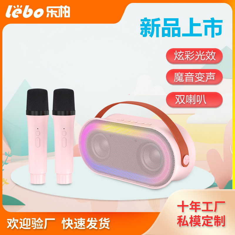 p6双麦蓝牙音箱无线k歌一体机音响话筒麦克风彩闪户外家用便携ktv
