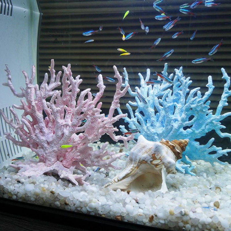 鱼缸珊瑚造景图图片-海量高清鱼缸珊瑚造景图图片大全 - 阿里巴巴
