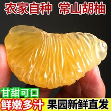 常山胡柚新鲜黄心柚子当季水果西柚孕妇5/10/20斤果园包邮跨境