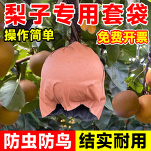 水果套袋梨子套袋秋月梨果蔬袋防虫防鸟神器草莓葡萄桃子专用纸袋