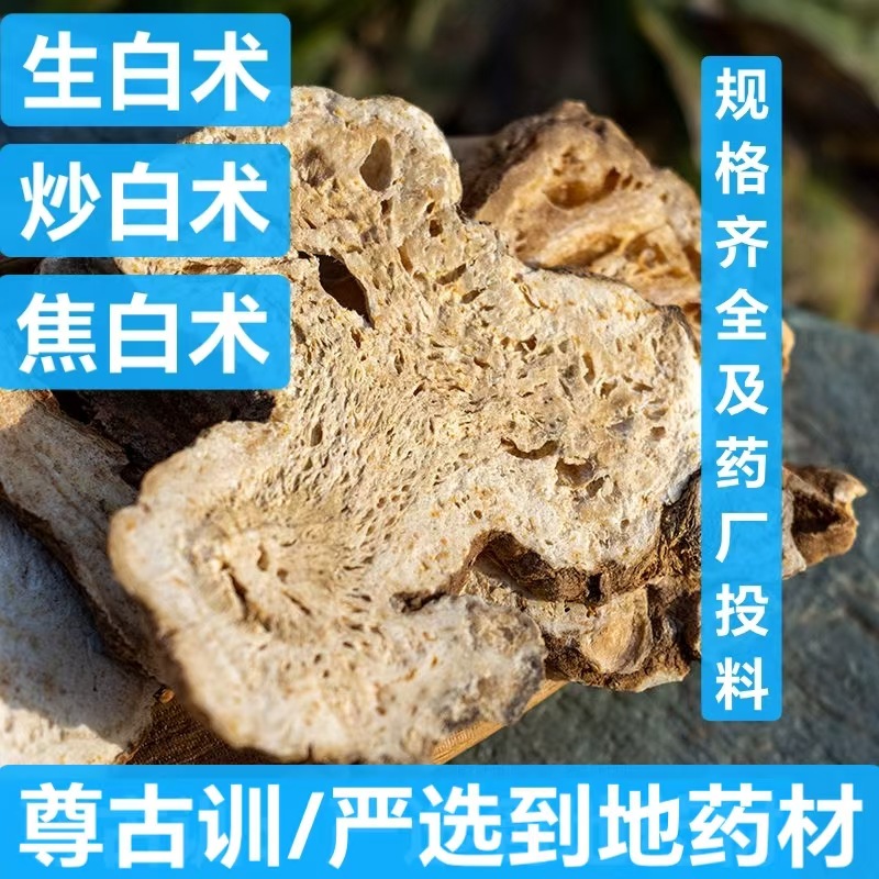 白术 中药材批发  新货 浙江白术片 麦麸炙白术 炒白术 量大价优