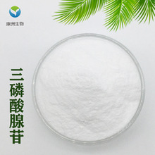 三磷酸腺苷99% ATP 腺嘌呤核苷三磷酸【100g/袋】康洲生物 免运费