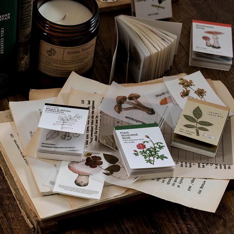 纸便签复古植物小豆本系列迷你便签本水彩花朵纸手账拼贴装饰 图片