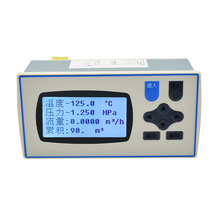 XSR32FC流量测量表积算仪 蒸汽补偿流量计 蒸汽测量仪 控制积算仪