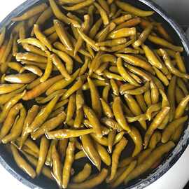 腌制小米椒咸菜农家小米椒尖椒朝天椒泡椒下饭菜青辣椒泡小辣椒