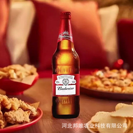 budweise/百wei啤酒经典醇正500ml12瓶装宴会批发整箱黄啤酒包邮