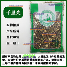 千里光中药材批发零售草药野生泡水小孩洗澡泡澡九里一扫光黄花母