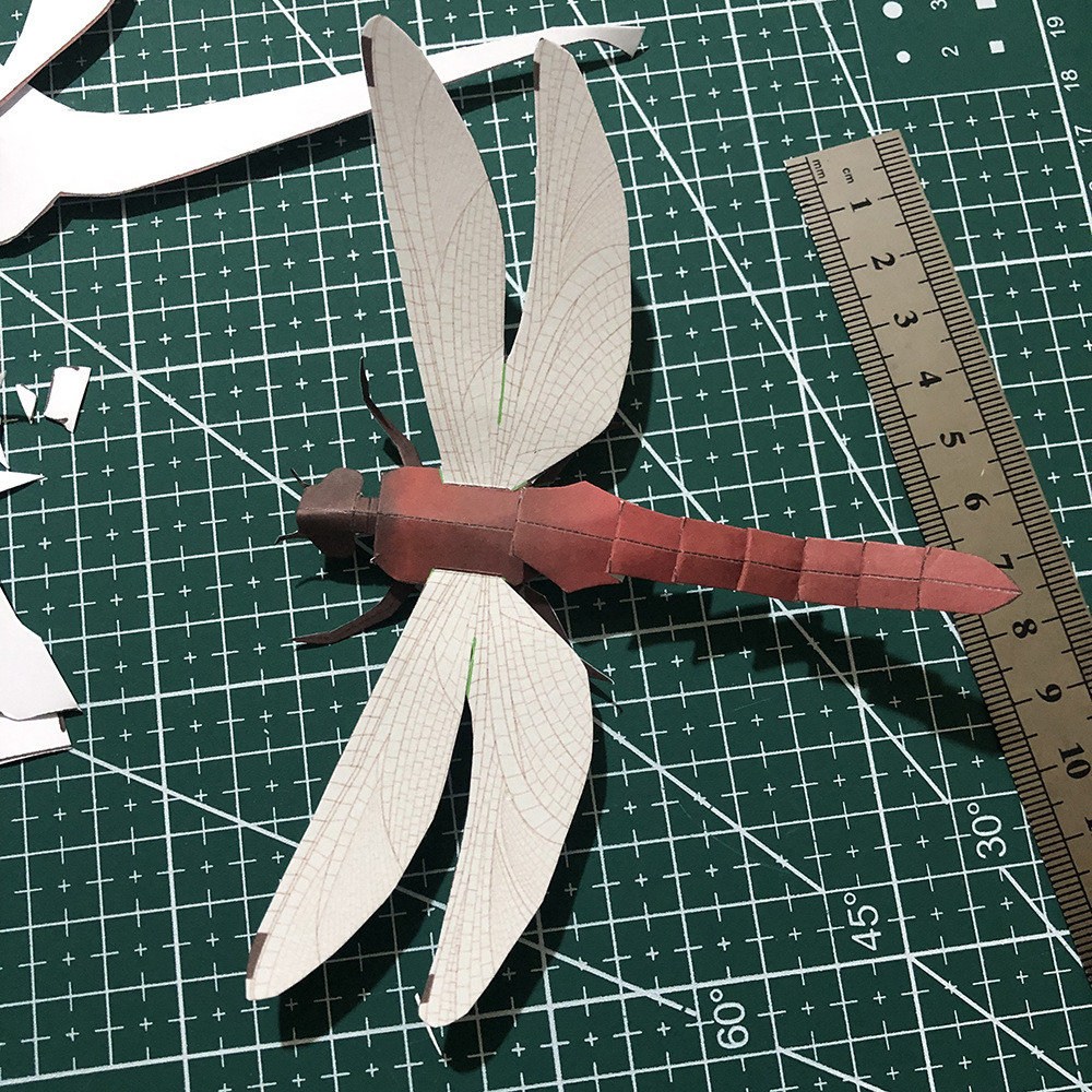 6件套独角仙 蝴蝶 蜻蜓 螳螂 昆虫纸模型 手工diy 学生活动 亲子