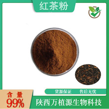 红茶粉99%红茶提取物锡兰红茶粉速溶红茶粉固体饮料原料现货供应