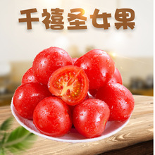 四川千禧圣女果 3/5斤新鲜应季千禧小番茄小柿子蔬菜水果小西红柿