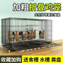 鸡笼养鸡家用子室外大号自动清粪笼鸭笼子室内小鸡鸽子笼子鸡窝笼
