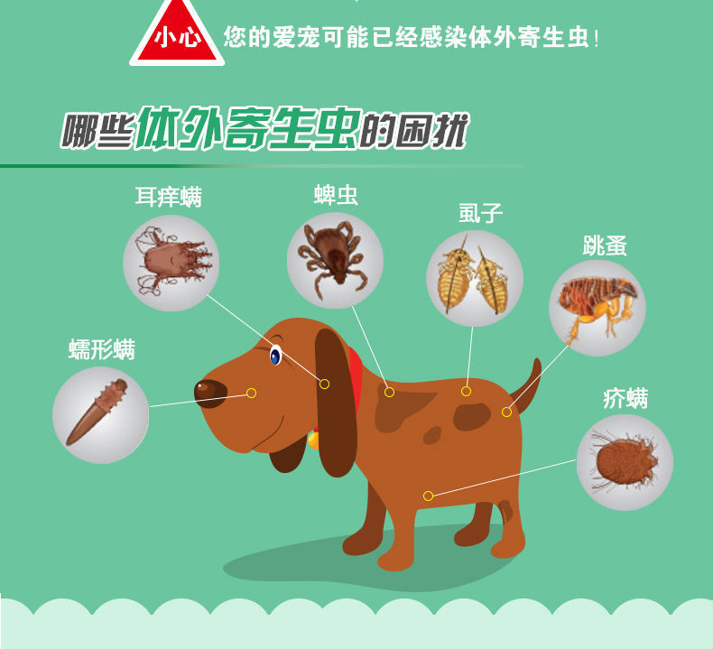 跳蚤药宠物狗狗体外驱虫杀虫剂喷雾家用蜱虫跳蚤药猫咪虱子药神器