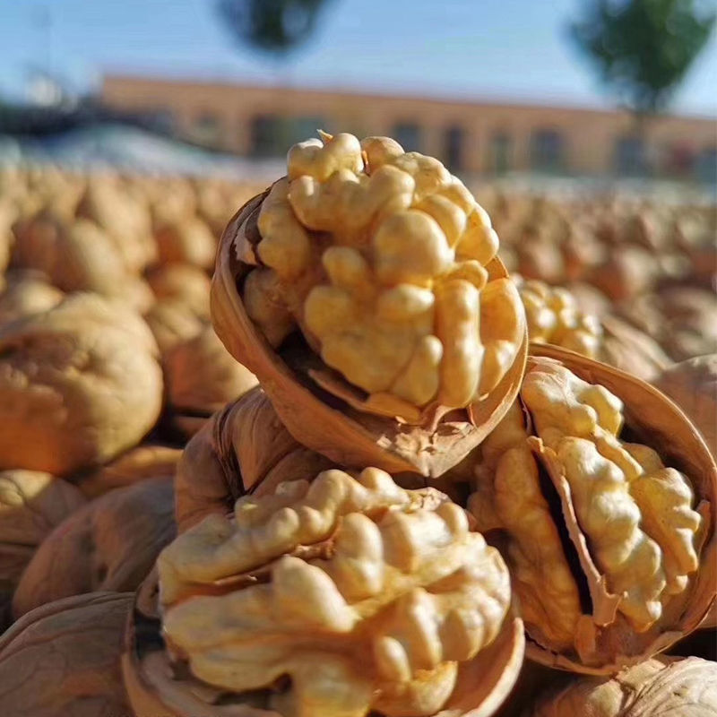 新疆纸皮核桃薄皮新货核桃生185薄壳新鲜一级阿克苏5斤装