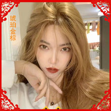 一件起批琥珀金棕色染发剂自己在家染发2022流行色显白奶茶色植物