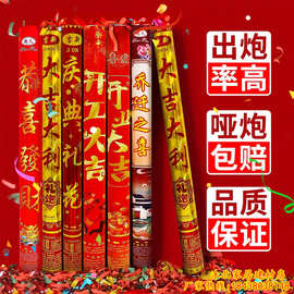 烟花礼花弹炮筒