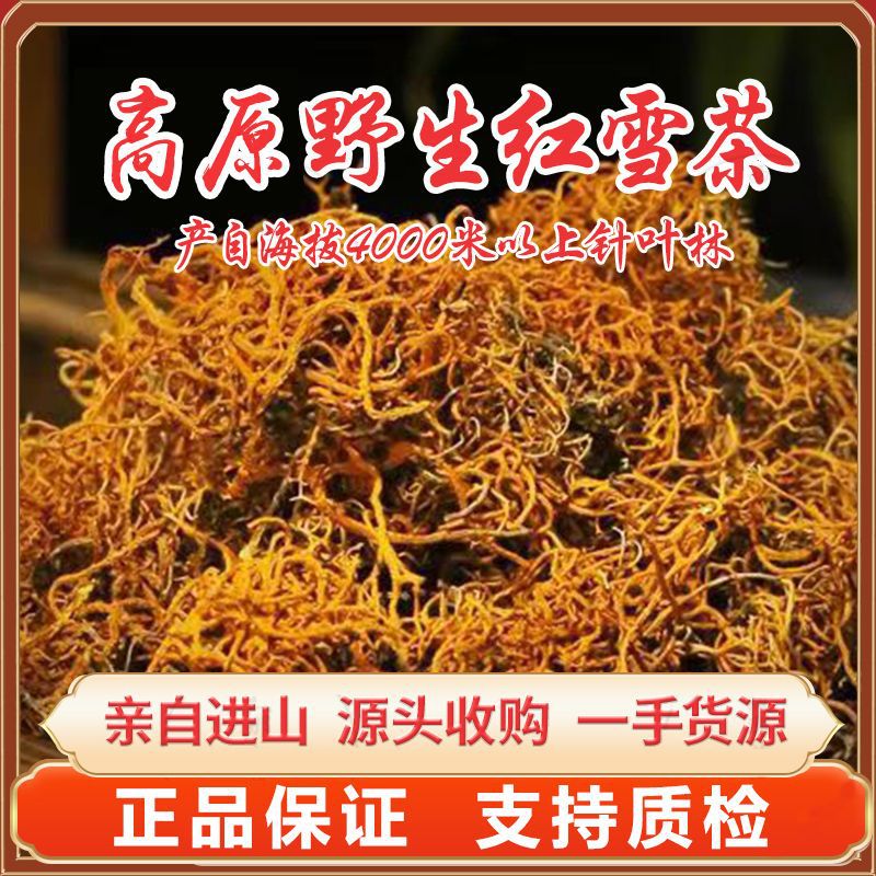 正宗红雪茶野生云南金丝茶正品鹿心茶红血茶非特级金刷把茶包邮