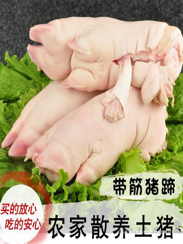新鲜猪蹄猪脚猪爪生猪蹄子前蹄农家散养土猪肉冷冻猪蹄卤猪蹄现杀