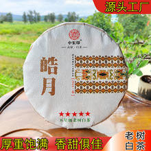 白茶普洱茶月光白 2021年老树生晒白茶饼300g 云南茶叶厂家批发