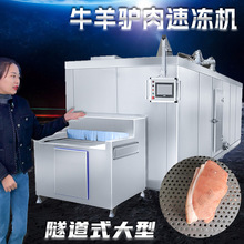 预冷机肉类速冻机  预制菜隧道式红烧肉料理包牛肉粒速冻设备