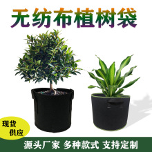 阳台园艺无纺布植物生长种植袋亚马逊growbag营养育苗袋美植袋