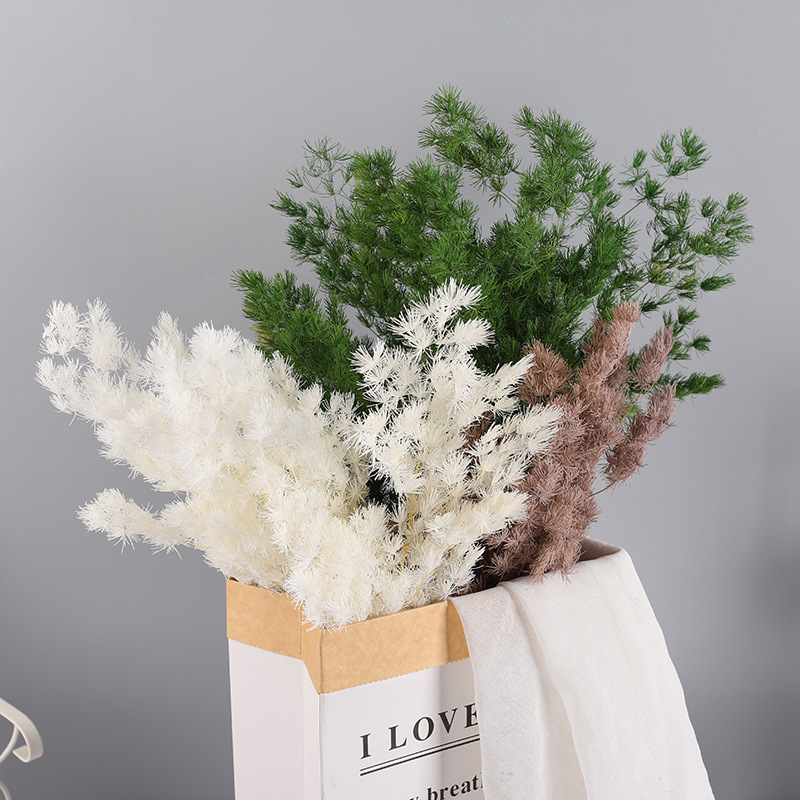 永生蓬莱松雪松拍摄道具家具装饰玻璃罩浮游瓶制作材料艺术插花材