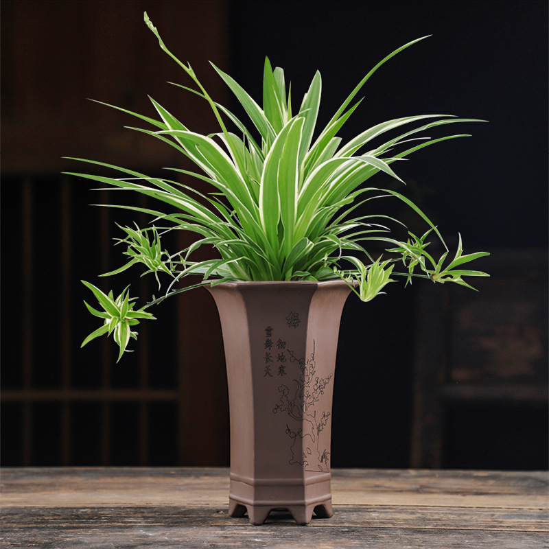 栀子花吊兰兰花绿植盆栽六角紫砂有孔高筒陶瓷花盆大号带托盘摆件