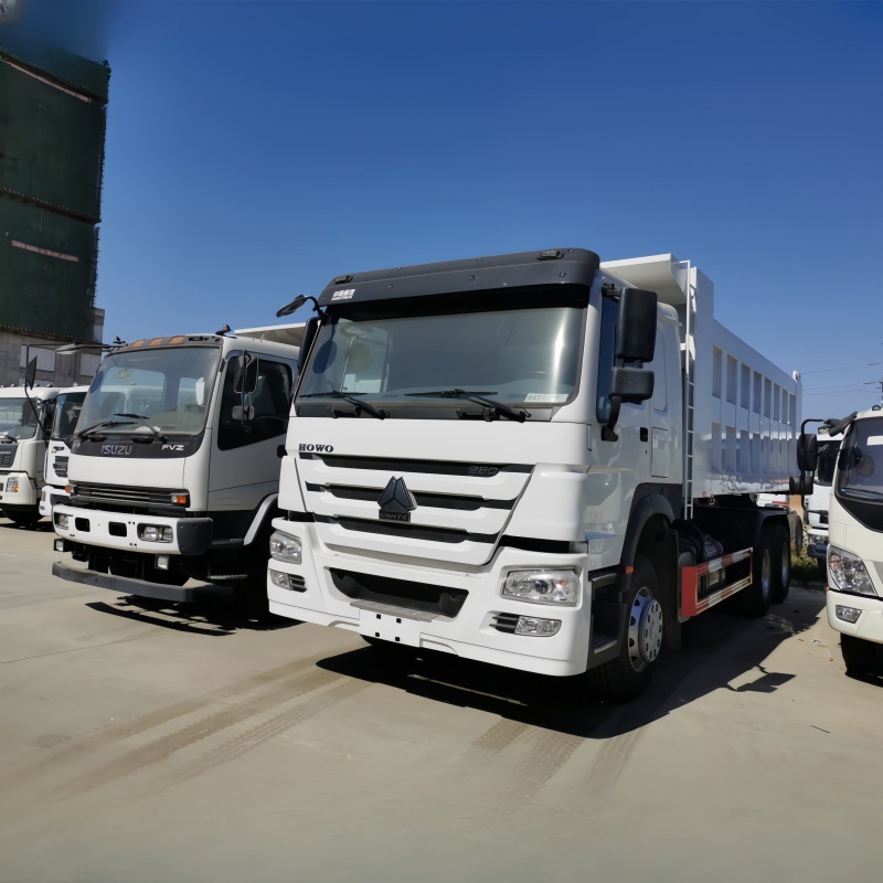 howo豪沃自卸车 集装箱自卸货车 跨境非洲东南亚前四后八轮货车