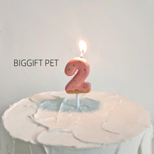 猫咪狗狗宠物生日草莓甜甜圈数字蜡烛可爱卡通蛋糕甜品派对装饰品